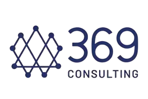 369 consulting